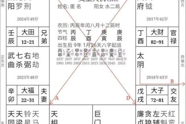 紫微斗数体系框架（零基础入门）
