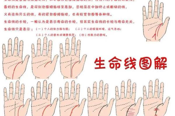 手相算命:生命线断开图解 手相算命:生命线断开图解