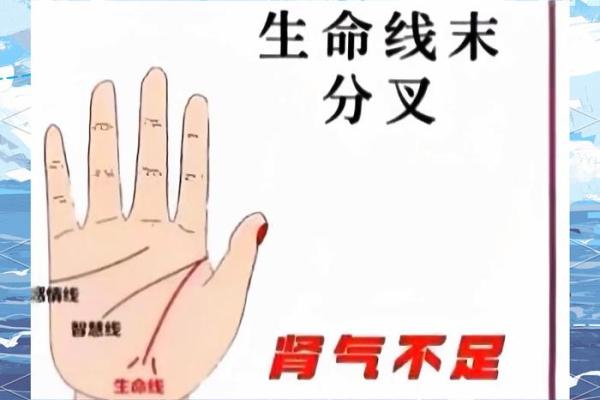 手相算命:生命线断开图解 手相算命:生命线断开图解