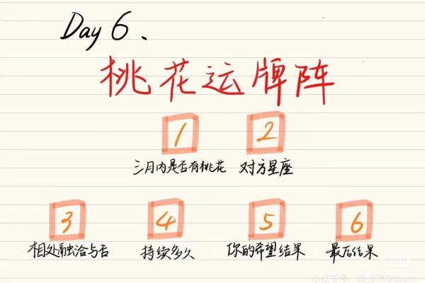 塔罗牌测试十二月学习运