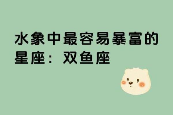 十二星座哪个最会养鱼