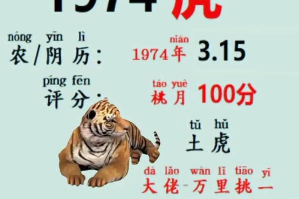 易经网算命