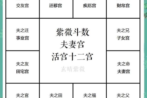 紫薇斗数怎么看夫妻婚后感情