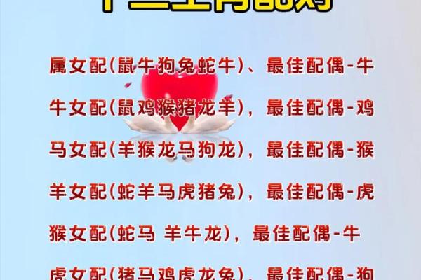 最准的12生肖配对表