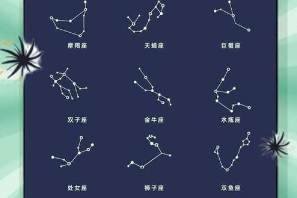 射手座的男生最适合哪个星座
