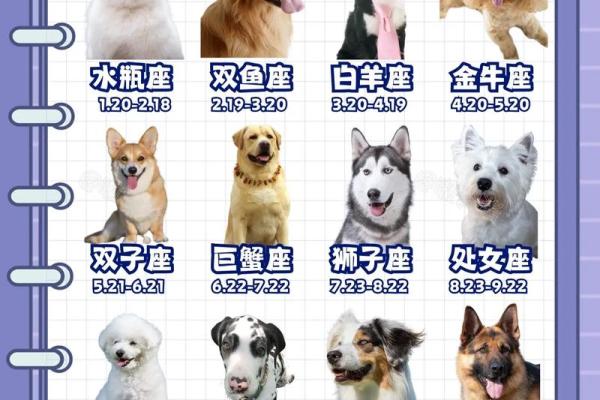 什么星座最适合养什么样的狗狗