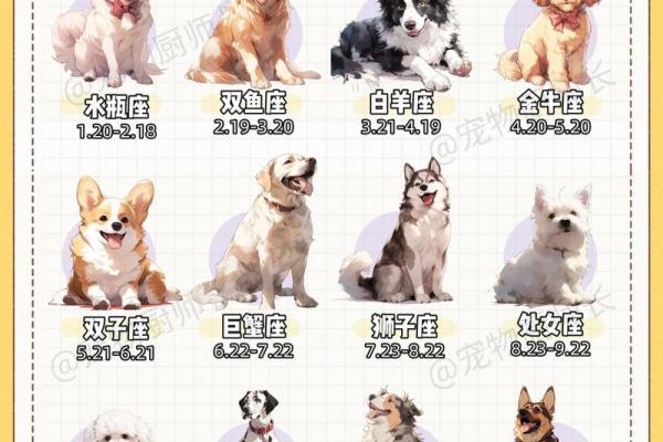 什么星座最适合养什么样的狗狗