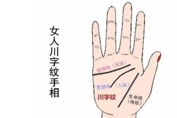 手型算命：兼型手人的性格与命运