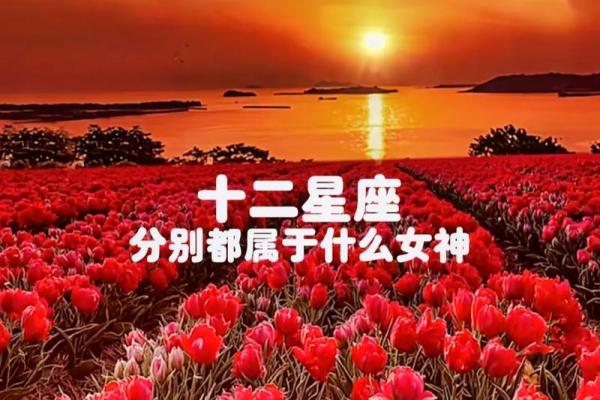 最适合做女特工的星座是什么