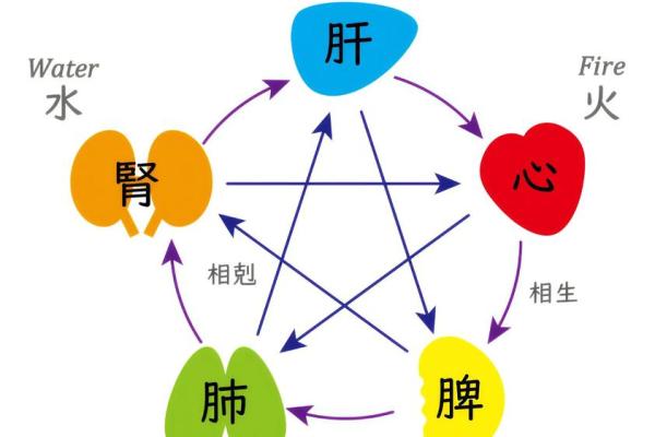 八字看疾病，八字看疾病解读