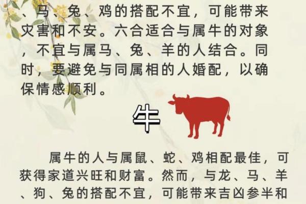 生肖配对姻缘男龙女马 十二生肖男龙女马相配吗？