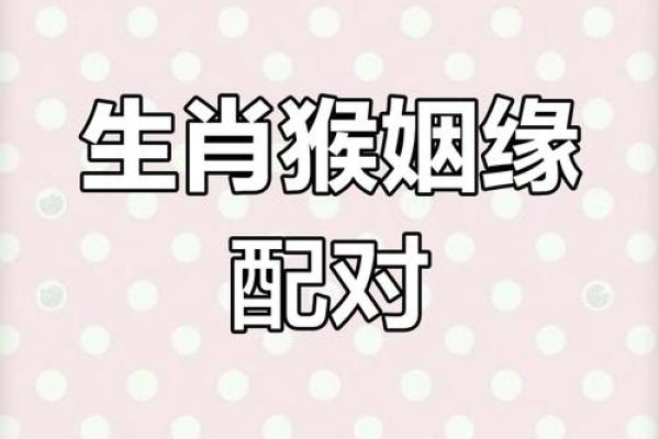 兔猴生肖配对姻缘 兔与猴的婚姻相配吗