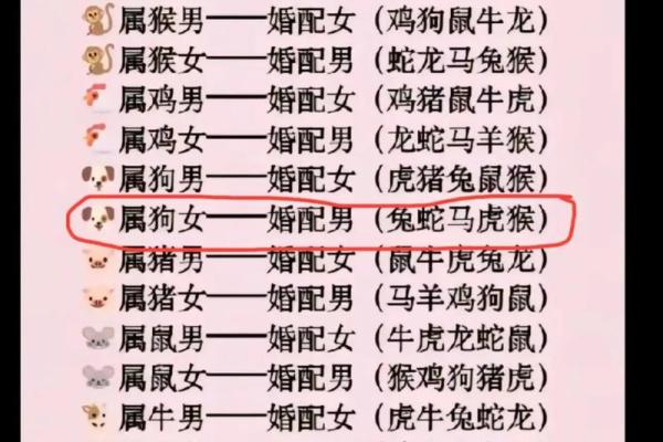 女鼠男虎生肖配对姻缘 属鼠女与属虎男婚姻配对详解