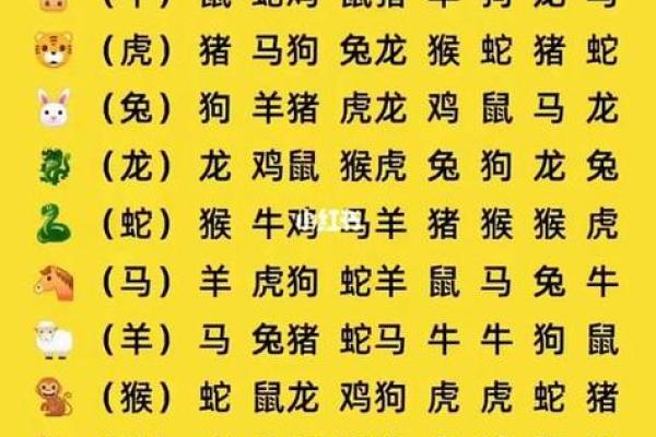 属虎和什么属相最配对 属虎和什么属相相冲
