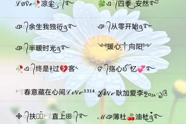 2024年QQ超拽女生网名大全