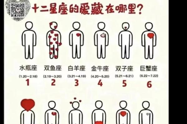 精明过头的星座有哪些
