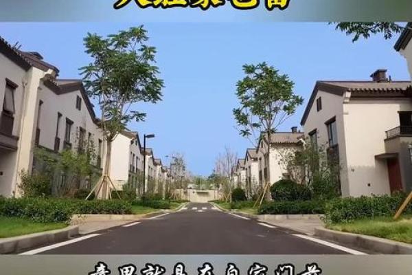 风水财运门前种树也不要种这三棵树禁忌