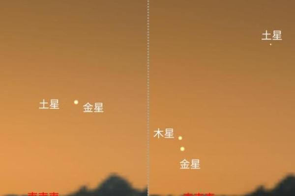 起来最亮的行星是哪个星座