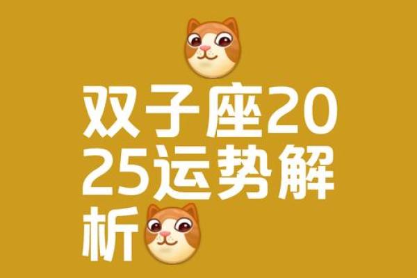 星座五月十五日双子座运势