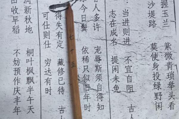易经灵签第28签解签全解
