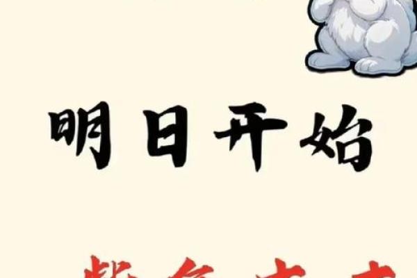 属兔出生最好六个吉日 属兔的出生吉日