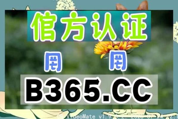 结婚吉日在线播放 结婚吉日在线查询？