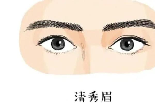 女人眉毛的风水以下眉形的眉毛财运好