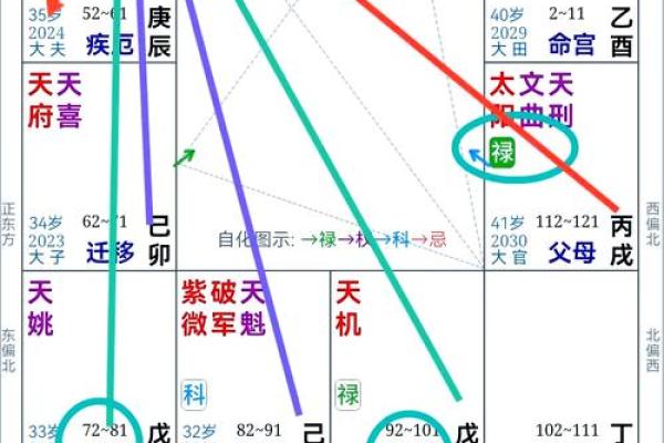 紫薇斗数看创业与否