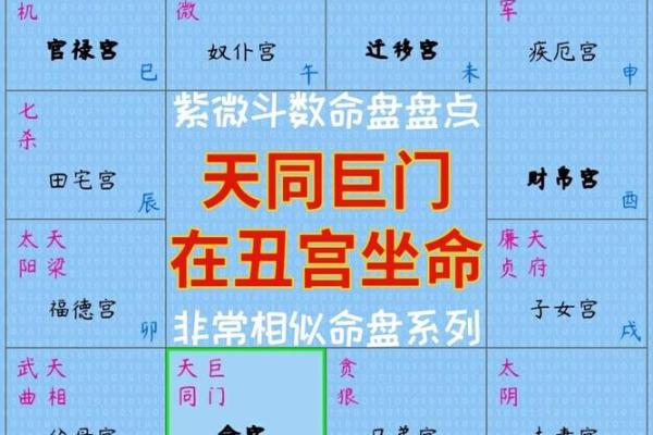 紫微斗数诸星落诸宫之:巨门星子女宫详解 紫微斗数诸星落诸宫之:巨门星子女宫详解