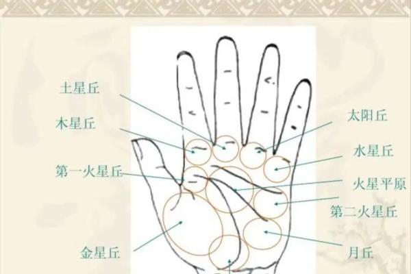 看相算命图解