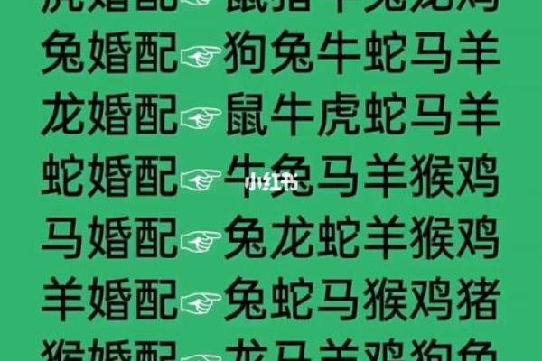 2001年属什么生肖几岁 婚配 多大 配对情况如何