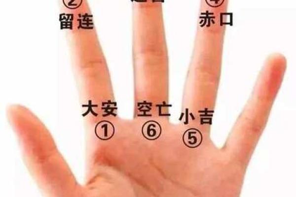 算命中指的官是什么