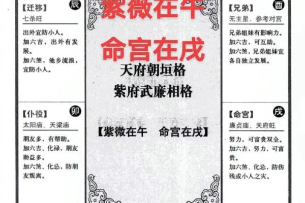 紫薇斗数是什么意思