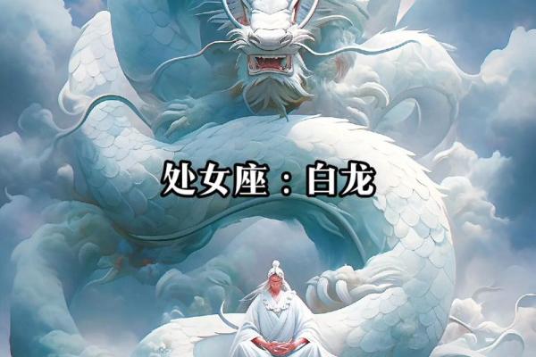 哪一个星座拥有最厉害的龙属性