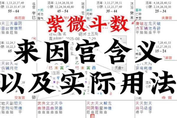 紫薇斗数大运和八字不一样