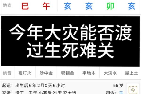 八字亥巳相冲