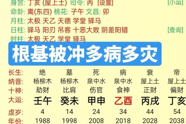 八字亥巳相冲