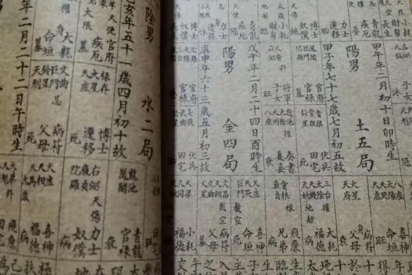 紫薇斗数丙级星
