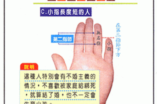 手指算命，手指长短判断一个人的个性