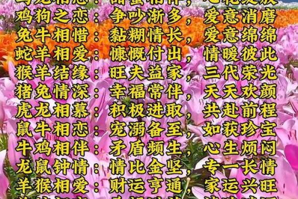 姻缘姓名配对测试免费 姻缘配对 姓名免费？