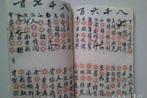 初学算命看什么书