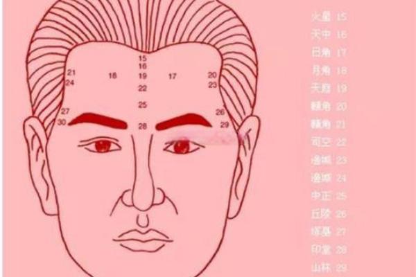 面相算命看法的特征,面相的基本看法