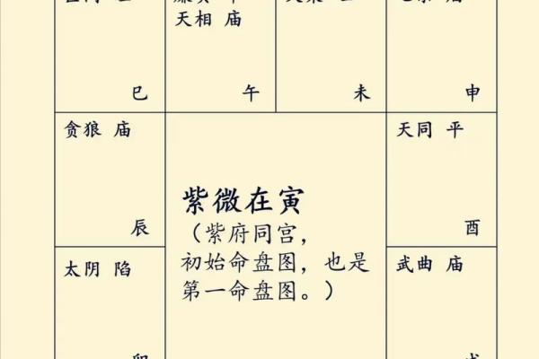 紫薇斗数自学看