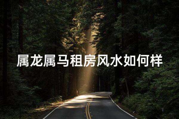 全家人都属龙,七层的楼住几层风水好？
