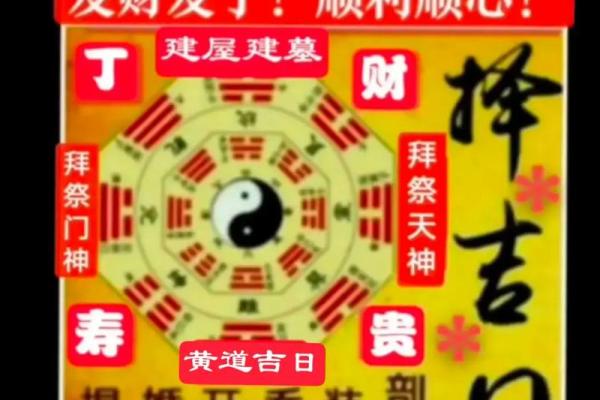 风水开运 木命男人如何旺财