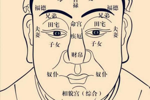 紫薇斗数命宫有哪些