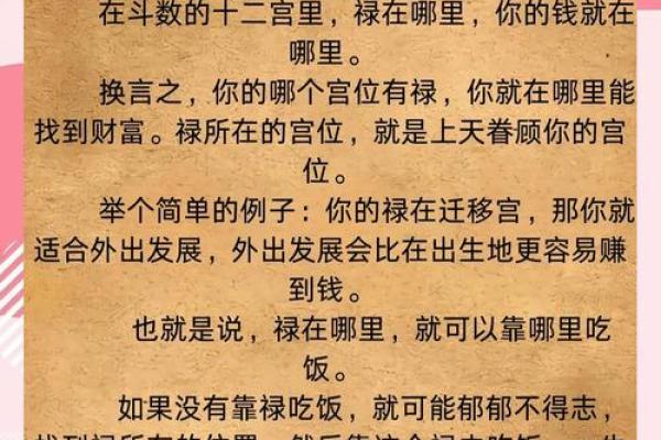 紫薇斗数看自己财富