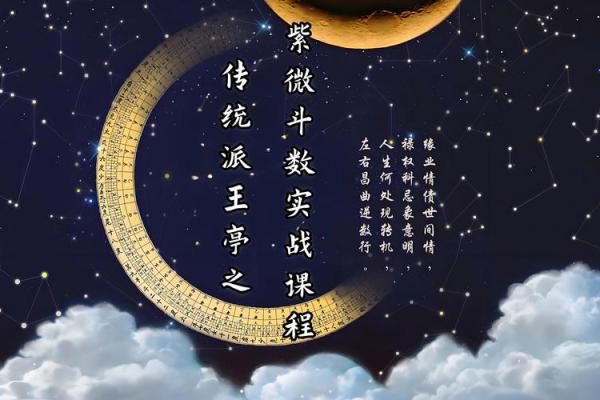 紫薇斗数元神