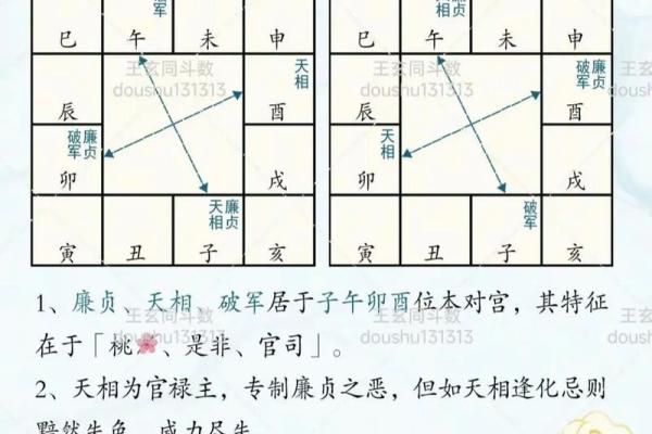 紫薇斗数测国运