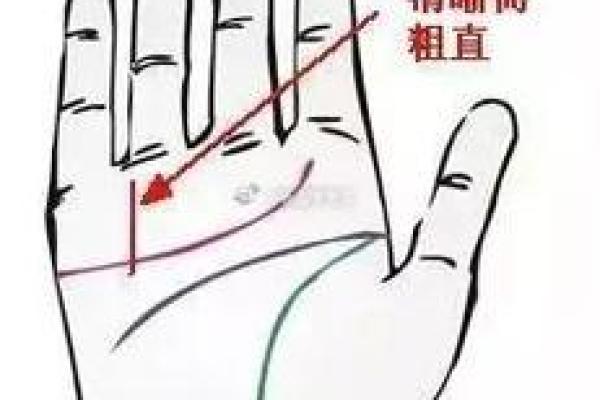 小指短的手相算命